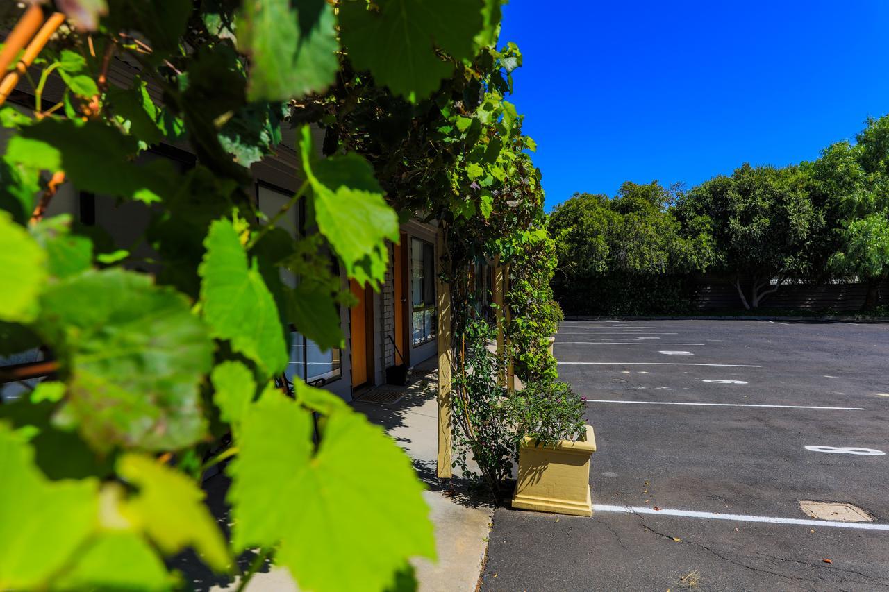 Country Roads Motor Inn Naracoorte Kültér fotó